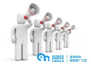 拉米拉 如何利用網(wǎng)絡(luò)技術(shù)高效推廣公司產(chǎn)品與品牌