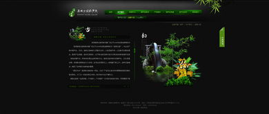 滇南古韻與數(shù)字未來 奧遠(yuǎn)科技以創(chuàng)新技術(shù)服務(wù)云南